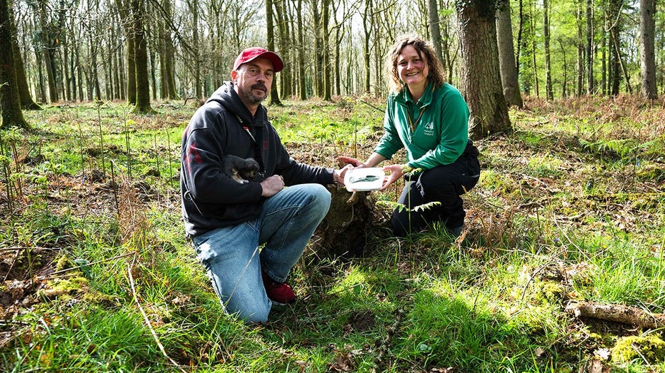 Dog walker's routine stroll turns into 'incredible' 3,000-year-old discovery in picturesque forest Education Guide