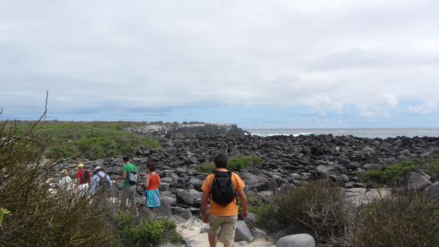 Ecuador Extends Protected Galapagos Marine Reserve Education Guide